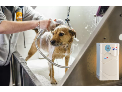 怡心牌EL-610 小廚寶 110V 洗碗盤、洗寵物 網友推薦熱水器